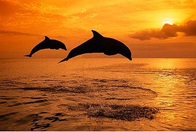 《魔兽世界》将删除游戏中不合适的内容 重获玩家信任